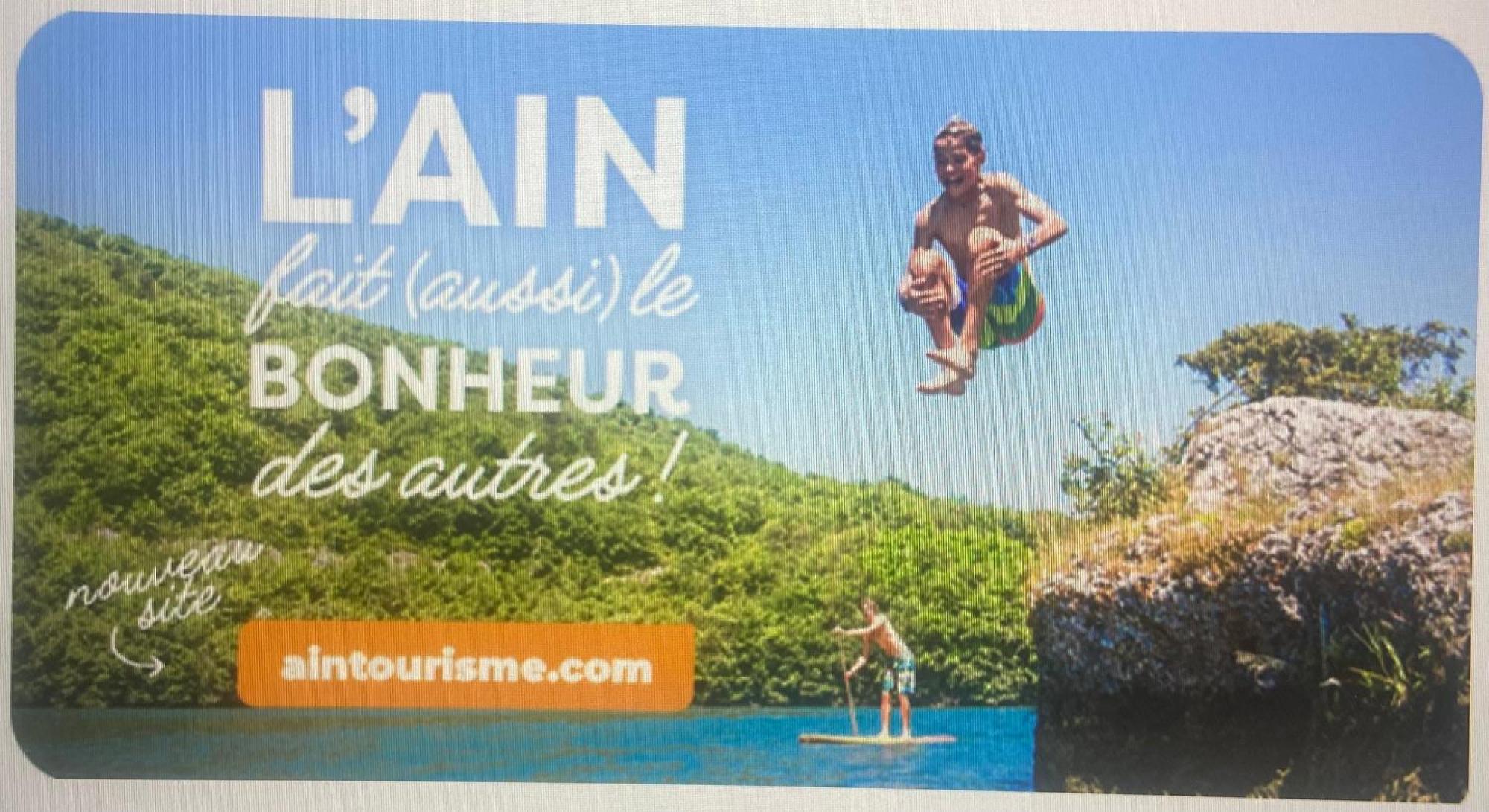 Au Chateau Saint Blaise Virignin Exteriör bild